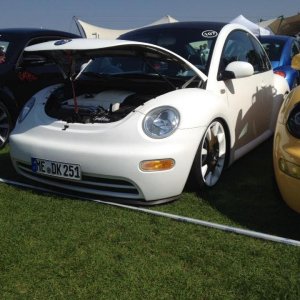 11934983 1141443905883125 2903340003482835451 n - copia