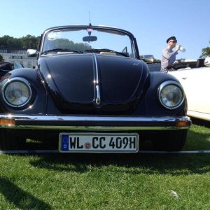 11923215 1141444125883103 1948942479816845171 n