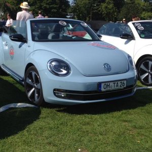 11892106 1141445162549666 331874940968795941 n - copia