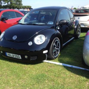 11885259 1141443949216454 2865740366234174029 n