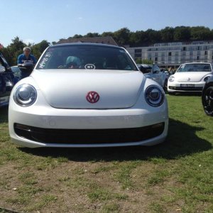 11243913 1141445739216275 4749544439159544462 n - copia