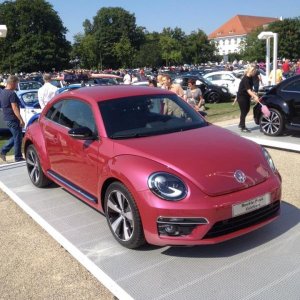 11889681 1141445879216261 7944984936402545578 n - copia