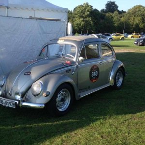 11954682 1141442709216578 6719605843651339240 n