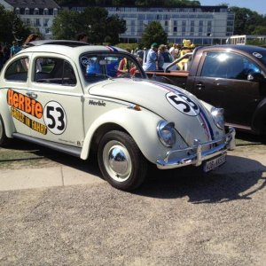 11951269 1141445279216321 3166425309895464284 n - copia