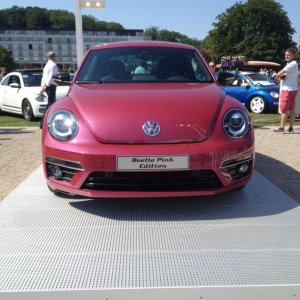 11949472 1141445822549600 4883998418649129504 n