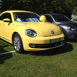 11947559 1141443469216502 6913351261268454850 n