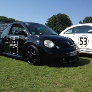 11954737 1141445569216292 283897326854614408 n