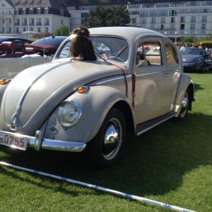 11953258 1141444839216365 6192777645944382262 n