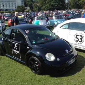 11949472 1141445629216286 7882742243889901578 n - copia