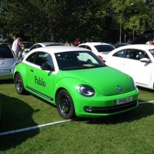 11260645 1141444145883101 227143096536013059 n - copia