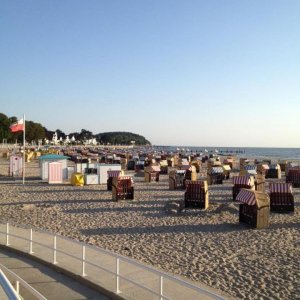 11951156 1141442729216576 3749067108237782838 n