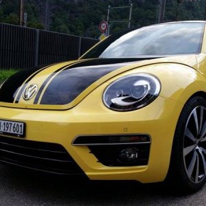 Beetle GSR