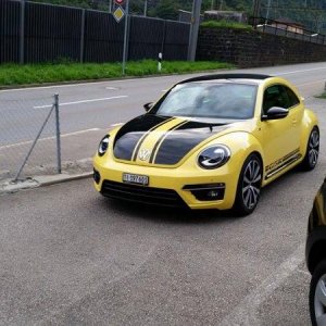 Beetle GSR