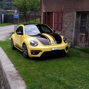 Beetle GSR