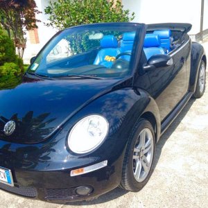 11998807 950945311636496 471393091 n