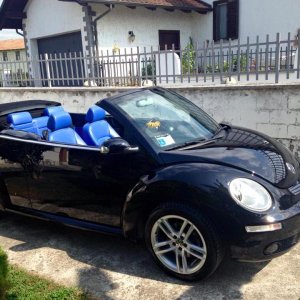 11998848 950933204971040 526791592205948502 n