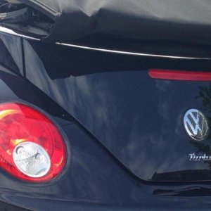 11998814 950945274969833 525628166 n