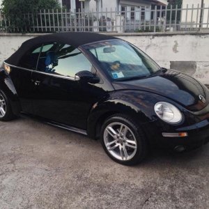 11998886 950933181637709 7101862206832698329 n