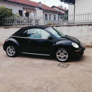 11998886 850933181637709 7101862206832698329 n