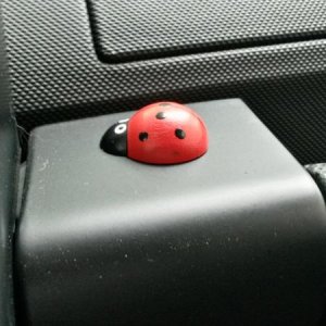 20150801 083938 richtone hdr