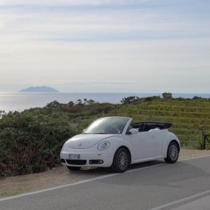 Isola del Giglio Estate 2015