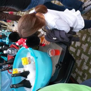 Raduno d' autunno 2015 AP - Abbazia di Praglia e Arqu? Petrarca