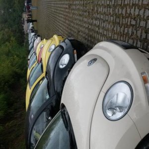 Raduno d' autunno 2015 AP - Abbazia di Praglia e Arqu? Petrarca