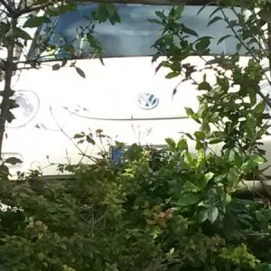 Raduno d' autunno 2015 AP - Abbazia di Praglia e Arqu? Petrarca