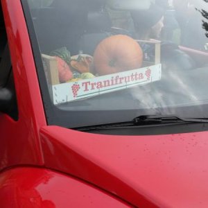 Raduno d' autunno 2015 AP - Abbazia di Praglia e Arqu? Petrarca