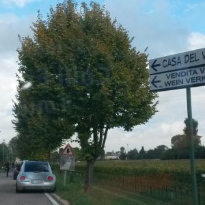 Raduno d' autunno 2015 AP - Abbazia di Praglia e Arqu? Petrarca