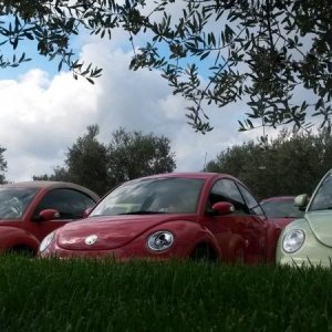 Raduno d' autunno 2015 AP - Abbazia di Praglia e Arqu? Petrarca