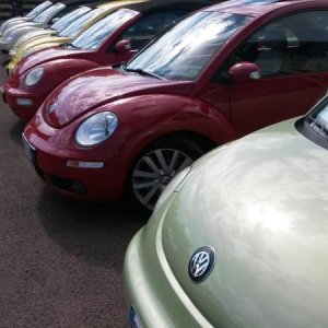 Raduno d' autunno 2015 AP - Abbazia di Praglia e Arqu? Petrarca