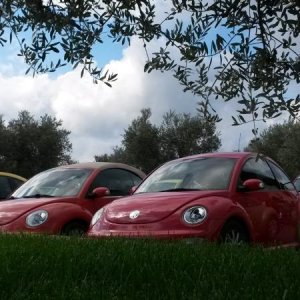 Raduno d' autunno 2015 AP - Abbazia di Praglia e Arqu? Petrarca