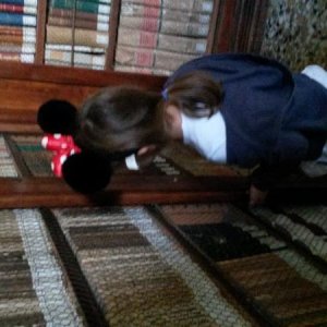 Raduno d' autunno 2015 AP - Abbazia di Praglia e Arqu? Petrarca