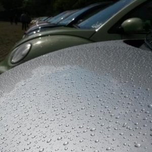 Raduno d' autunno 2015 AP - Abbazia di Praglia e Arqu? Petrarca