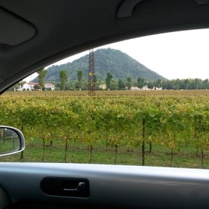 Raduno d' autunno 2015 AP - Abbazia di Praglia e Arqu? Petrarca