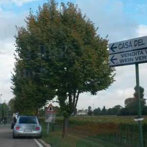 Raduno d' autunno 2015 AP - Abbazia di Praglia e Arqu? Petrarca