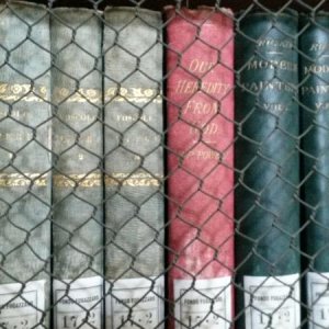 Raduno d' autunno 2015 AP - Abbazia di Praglia e Arqu? Petrarca