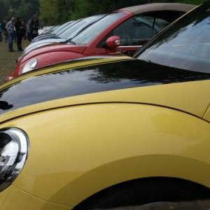 Raduno d' autunno 2015 AP - Abbazia di Praglia e Arqu? Petrarca