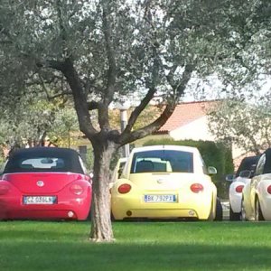 Raduno d' autunno 2015 AP - Abbazia di Praglia e Arqu? Petrarca