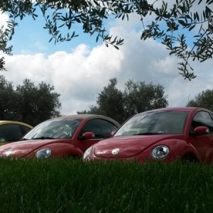 Raduno d' autunno 2015 AP - Abbazia di Praglia e Arqu? Petrarca