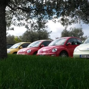 Raduno d' autunno 2015 AP - Abbazia di Praglia e Arqu? Petrarca