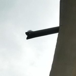 Raduno d' autunno 2015 AP - Abbazia di Praglia e Arqu? Petrarca