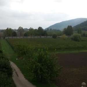 Raduno d' autunno 2015 AP - Abbazia di Praglia e Arqu? Petrarca