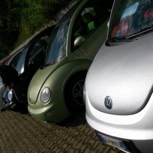 Raduno d' autunno 2015 AP - Abbazia di Praglia e Arqu? Petrarca