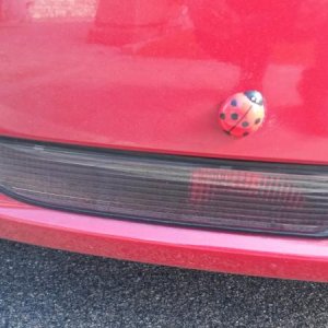 Raduno d' autunno 2015 AP - Abbazia di Praglia e Arqu? Petrarca