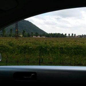 Raduno d' autunno 2015 AP - Abbazia di Praglia e Arqu? Petrarca