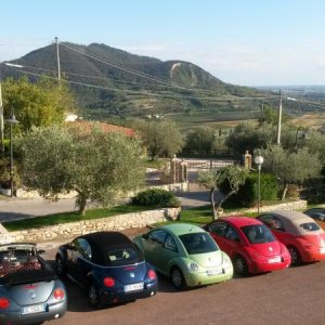 Raduno d' autunno 2015 AP - Abbazia di Praglia e Arqu? Petrarca