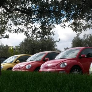 Raduno d' autunno 2015 AP - Abbazia di Praglia e Arqu? Petrarca