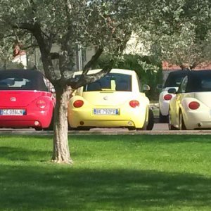 Raduno d' autunno 2015 AP - Abbazia di Praglia e Arqu? Petrarca